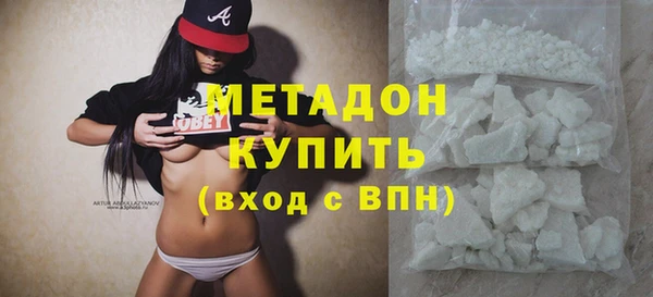 прущие грибы Дмитровск