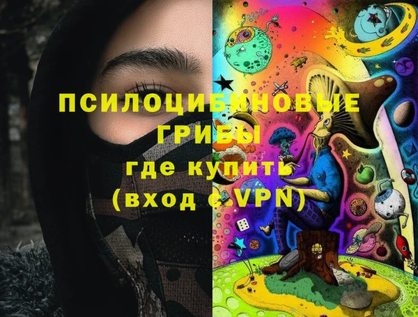 прущие грибы Дмитровск