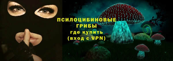 мяу мяу мука Дмитров