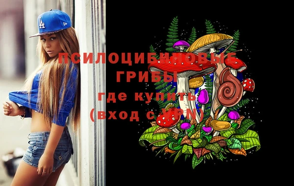 прущие грибы Дмитровск
