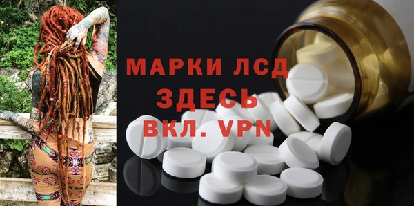 мяу мяу мука Дмитров