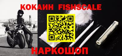 шишки Изобильный