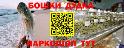 шишки Изобильный
