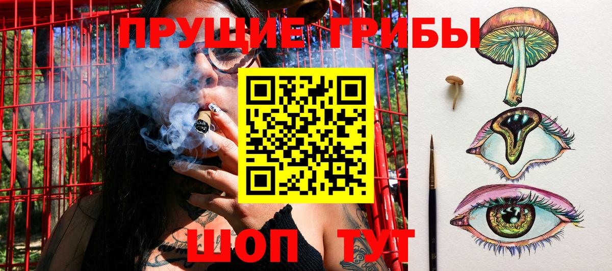 Псилоцибиновые грибы MAGIC MUSHROOMS  Вход с VPN  Медногорск 