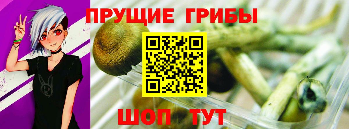 Псилоцибиновые грибы мицелий  Медногорск  Галлюциногенные грибы мицелий 